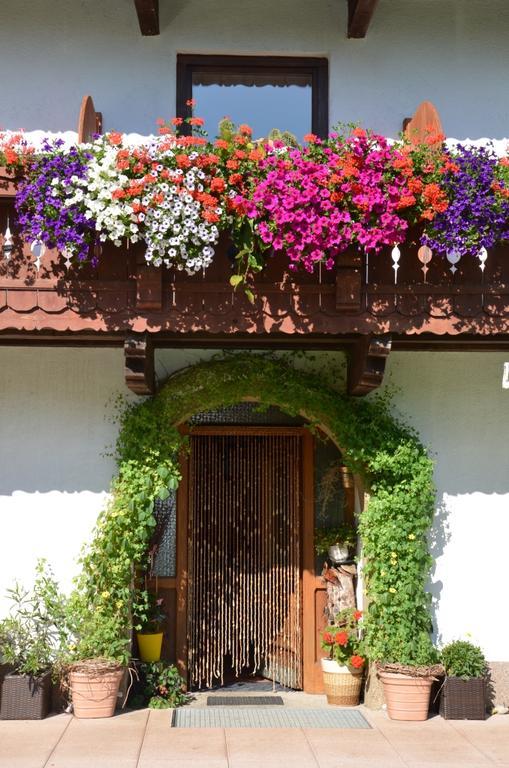 Appartement Hinterankerwald à Walchsee Extérieur photo