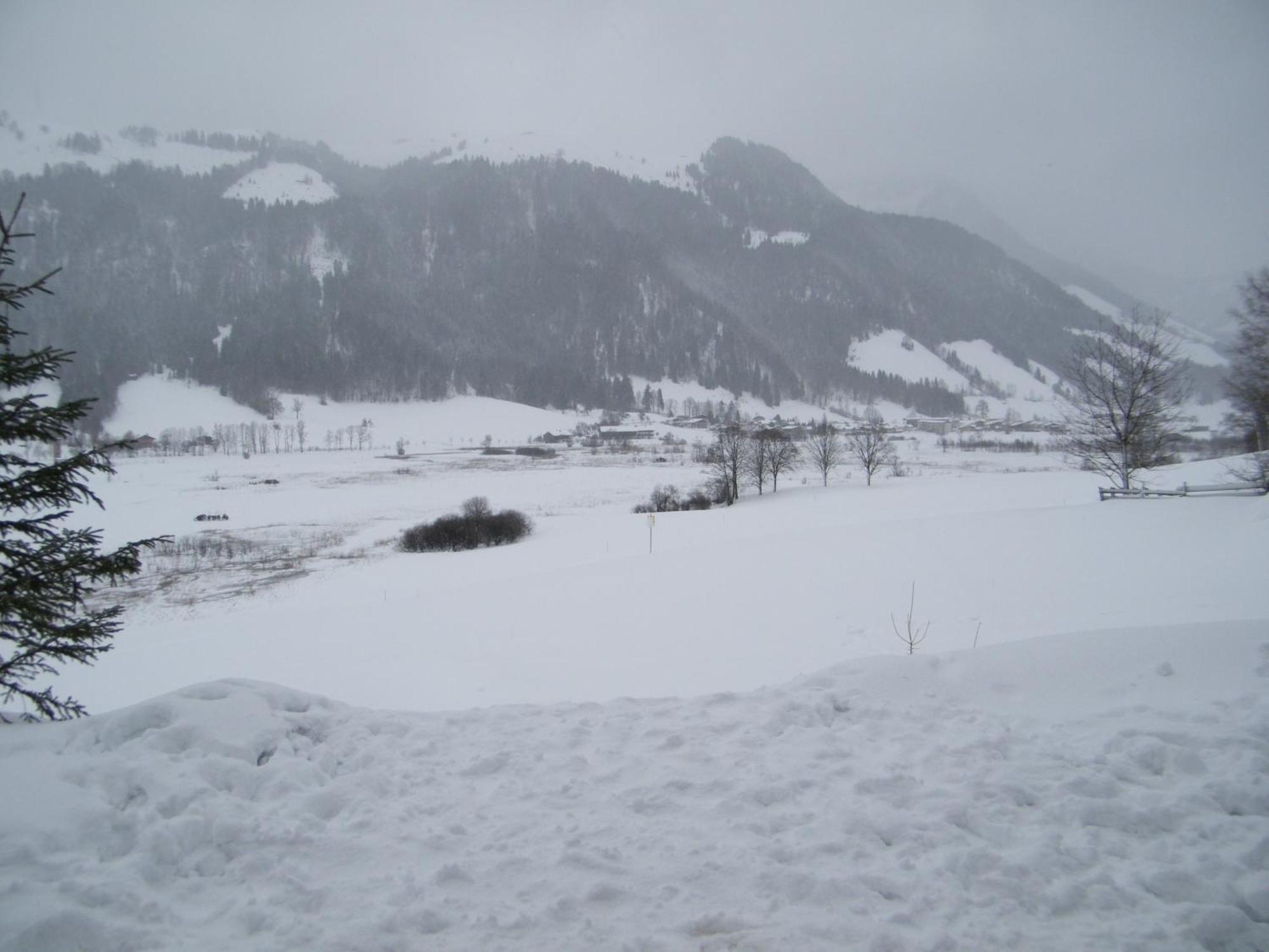 Appartement Hinterankerwald à Walchsee Extérieur photo