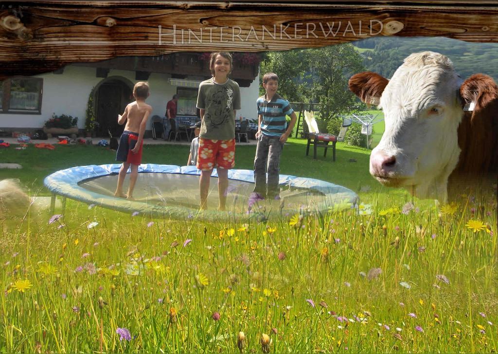 Appartement Hinterankerwald à Walchsee Extérieur photo